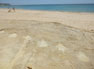 Salema
