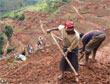 Extensieve landbouw in Afrika ï¿½ Sam Thompson/DFID