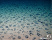 Mangaanknollen in de Stille Oceaan ï¿½ Kiel ROV 6000, GEOmar