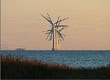 Deens windpark  Edin